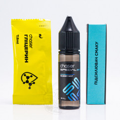 Chaser Special Berry Salt Bilberry Mint 15ml 65mg