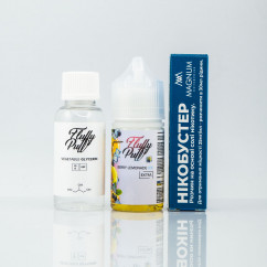 Набір Fluffy Puff Salt Berry Lemonade Ice 30ml 0mg Рідина