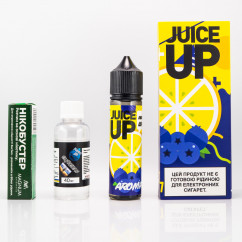 Juice Up Organic Blueberry Lemon 60ml 0mg