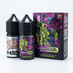 In Bottle Parallel Salt Berries Lemongrass 30ml 30mg Жидкость