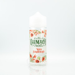 Ohm Boy Wild Strawberry 100ml 0mg Рідина