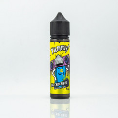 WES Split Organic #4 Yummy 60ml 0mg Жидкость