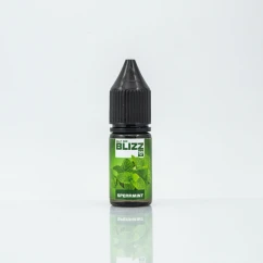 Blizz Salt Spearmint 10ml 50mg